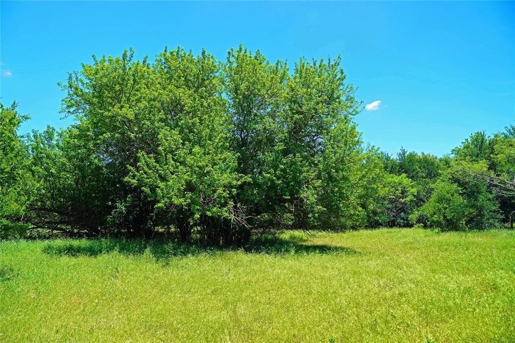36.42 acres in Jack County - photo 24