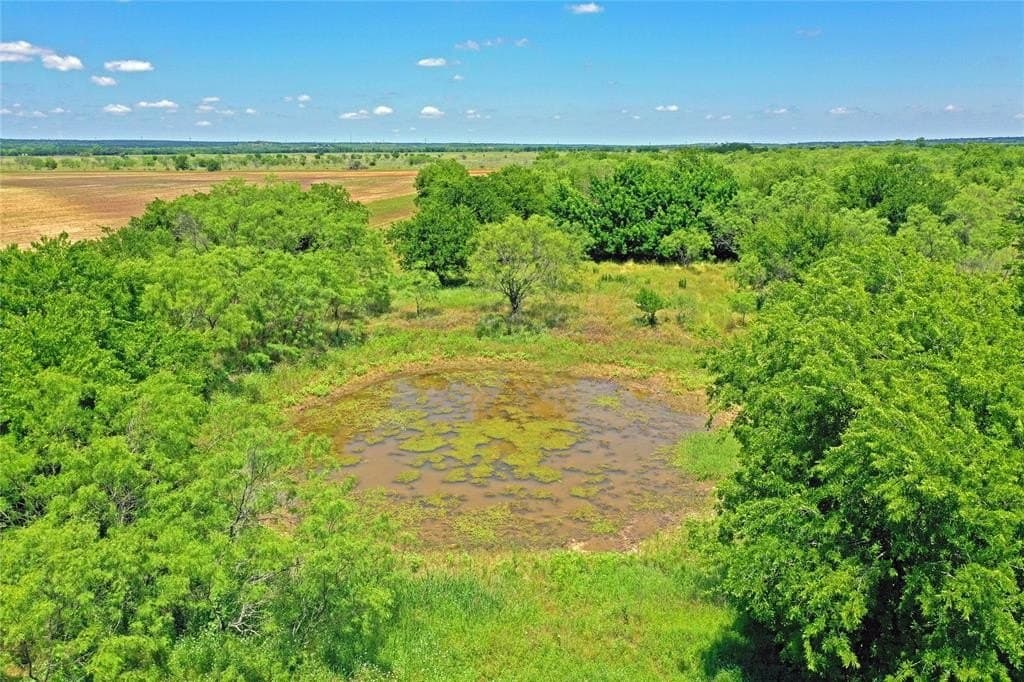 36.42 acres in Jack County - photo 4