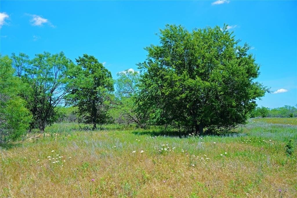 36.42 acres in Jack County - photo 19