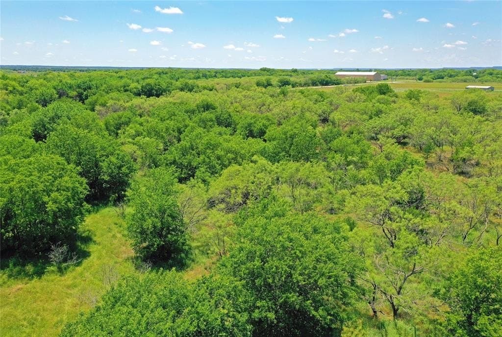 36.42 acres in Jack County - photo 10