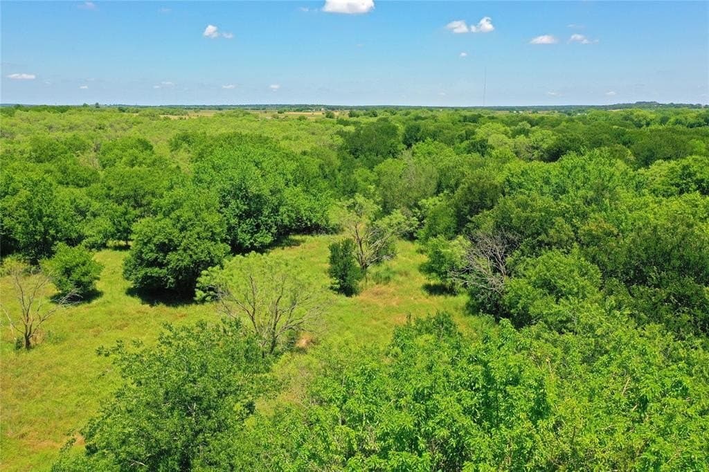 36.42 acres in Jack County - photo 14