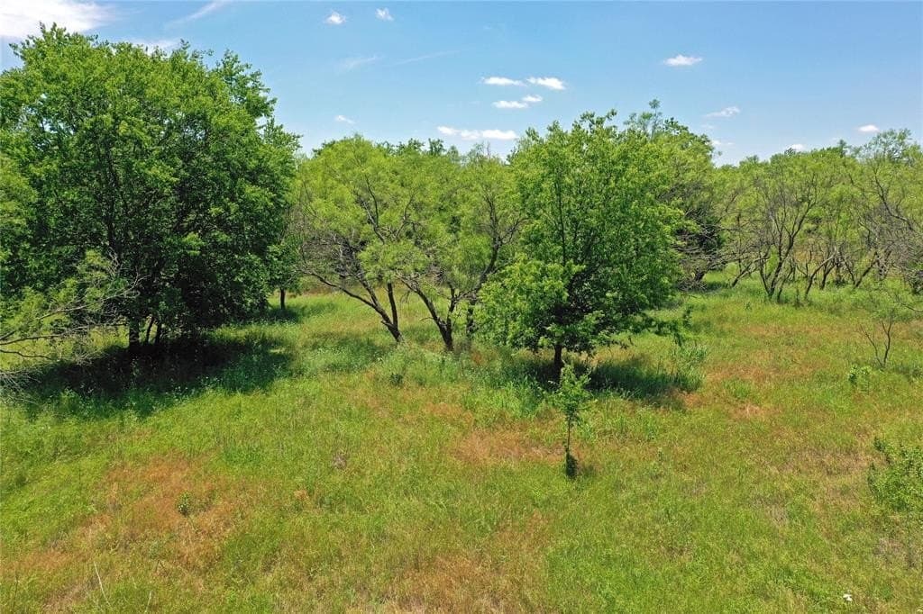 36.42 acres in Jack County - photo 11