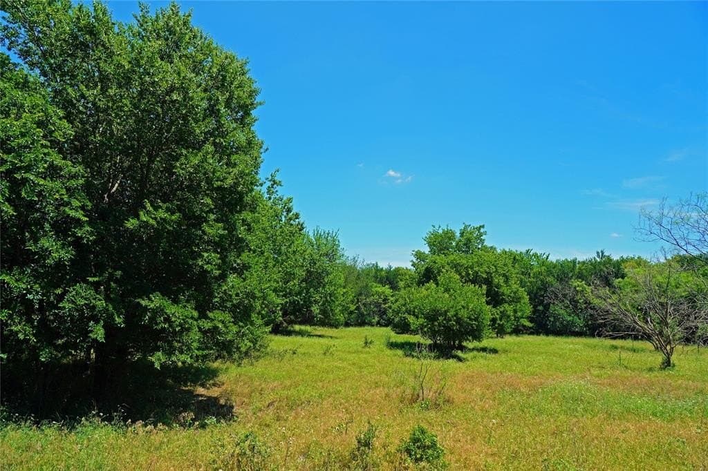 36.42 acres in Jack County - photo 7