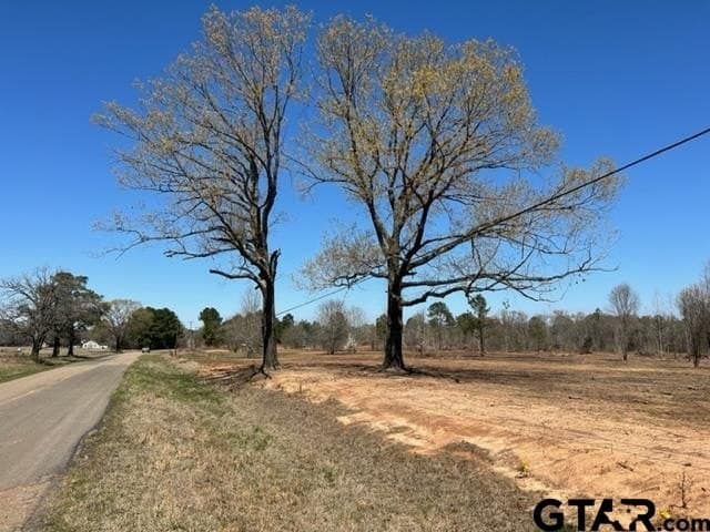 405 acres in Gregg County - photo 4