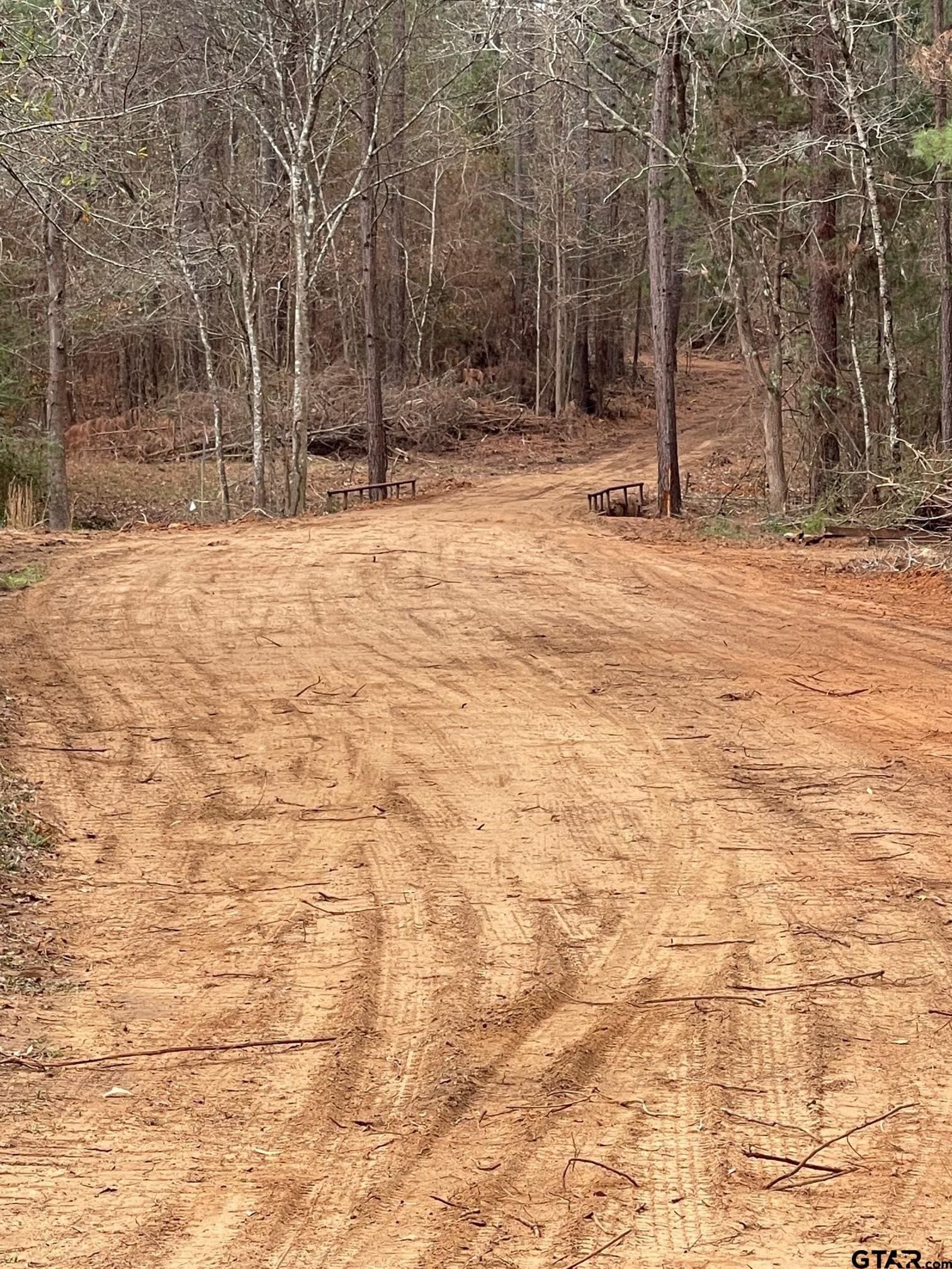 405 acres in Gregg County - photo 3