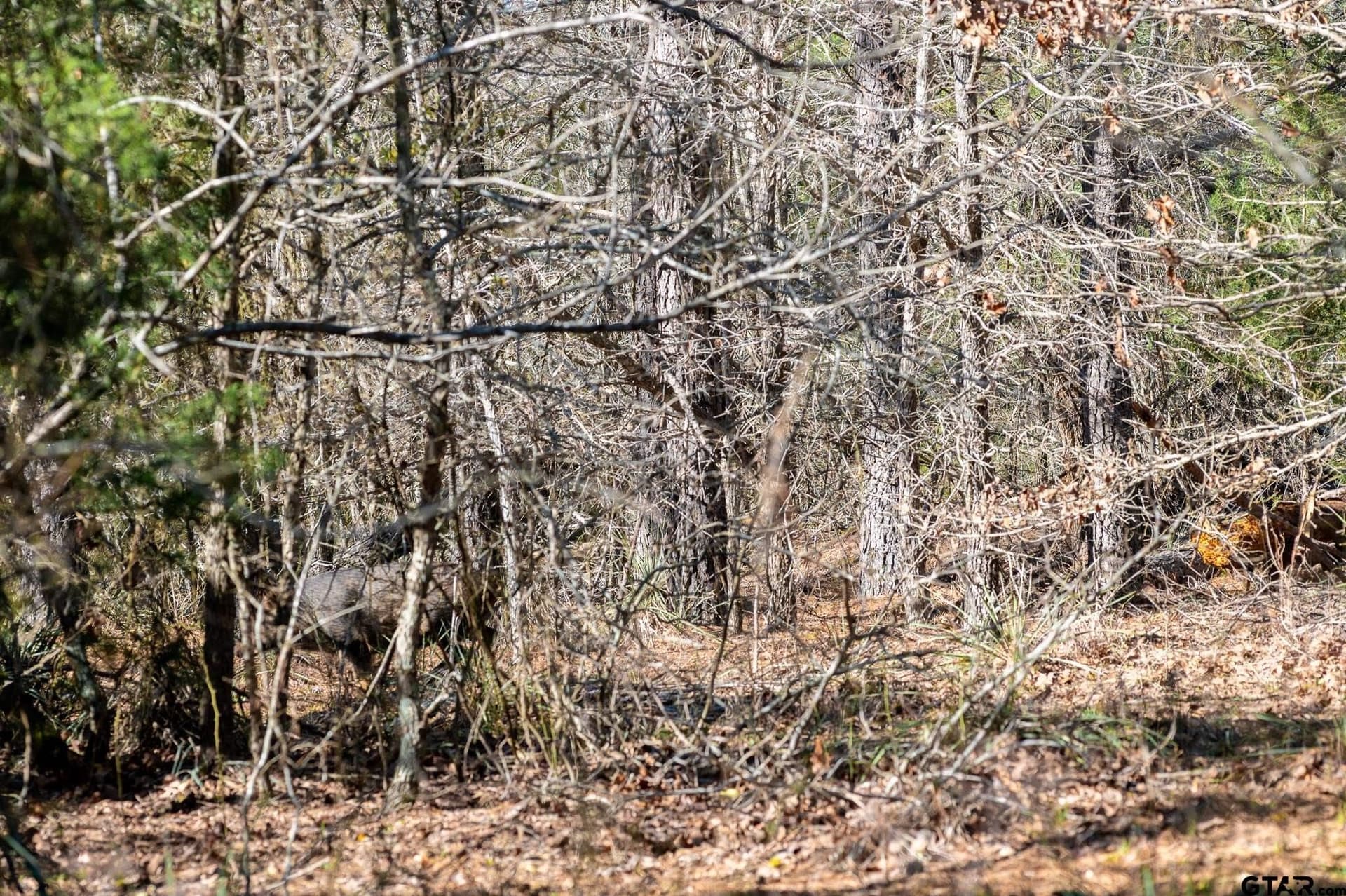 699.2 acres in Van Zandt County - photo 17