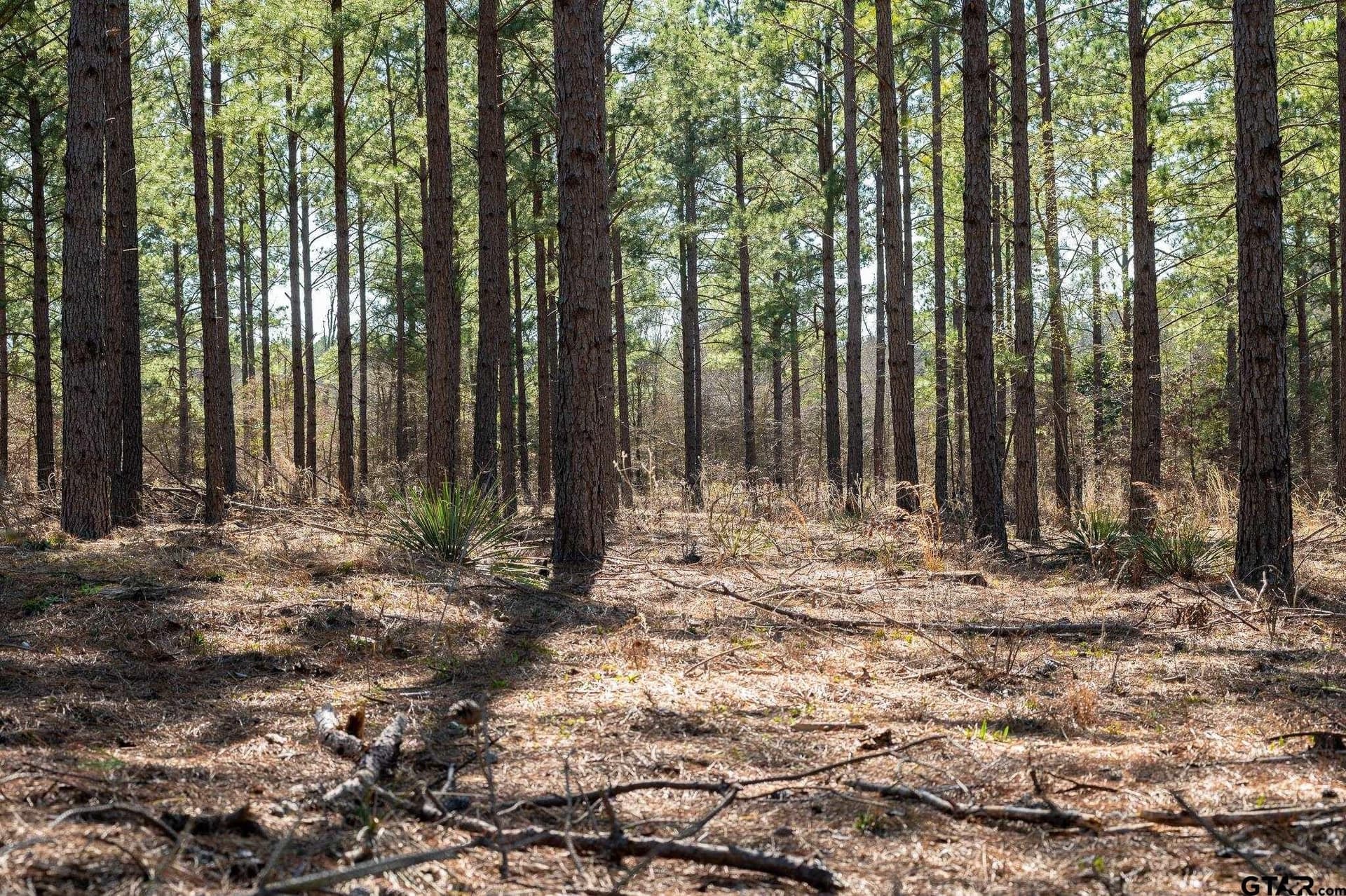699.2 acres in Van Zandt County - photo 11