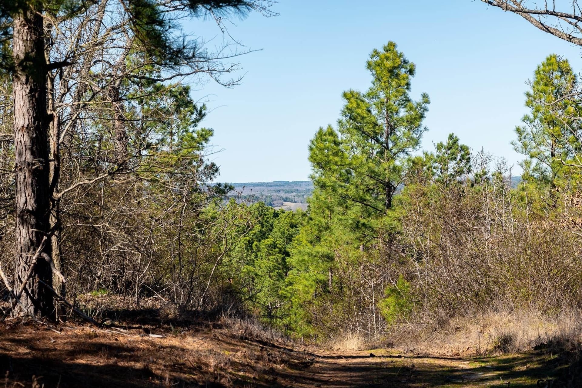 699.2 acres in Van Zandt County - photo 2