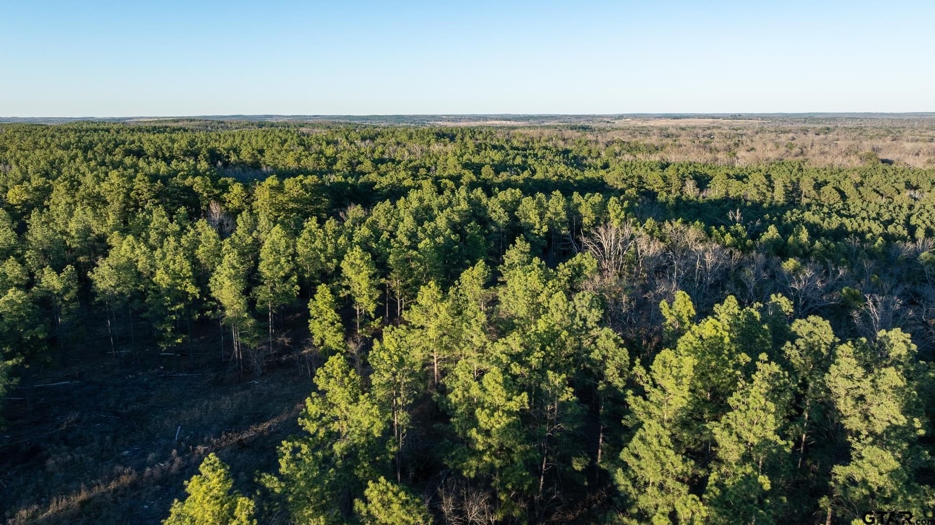 699.2 acres in Van Zandt County - photo 34