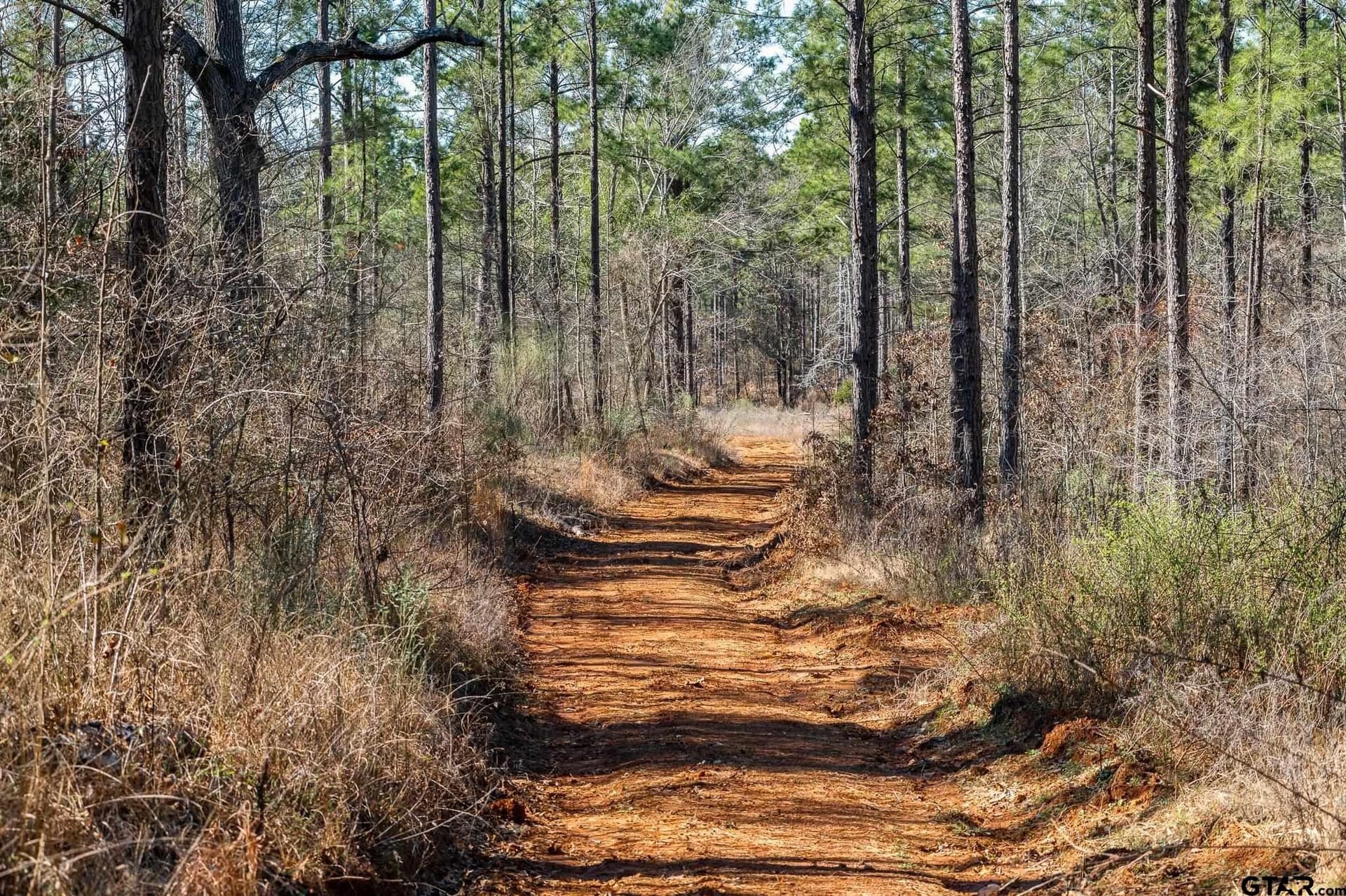 699.2 acres in Van Zandt County - photo 4