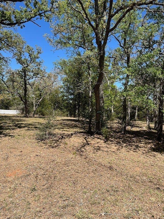 1.19 acres in Burleson County - photo 3
