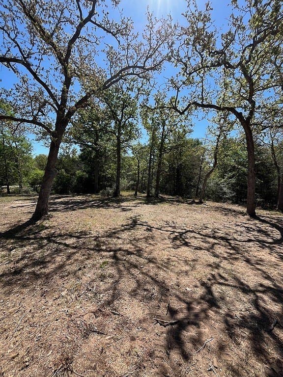 1.19 acres in Burleson County - photo 6