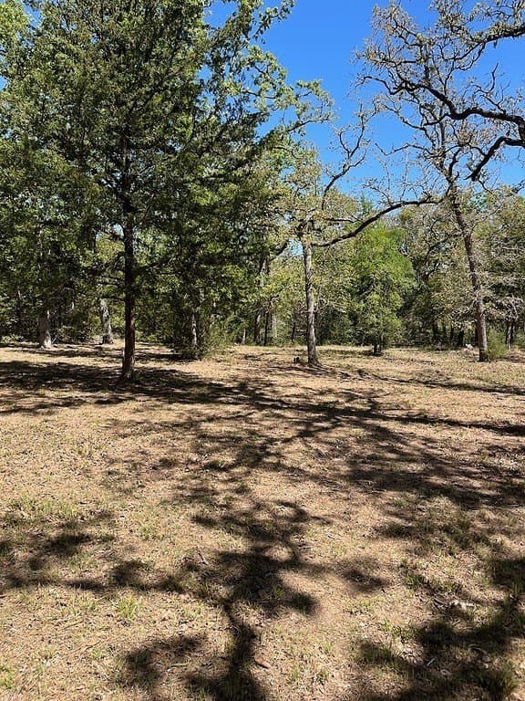 1.19 acres in Burleson County - photo 5