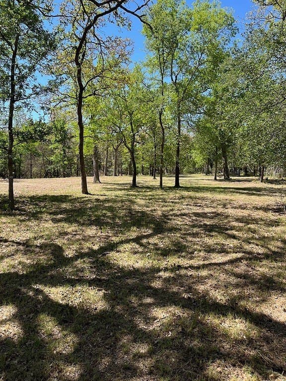 1.19 acres in Burleson County - photo 4