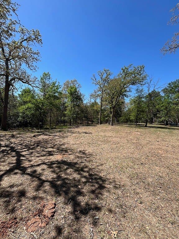 1.19 acres in Burleson County - photo 7