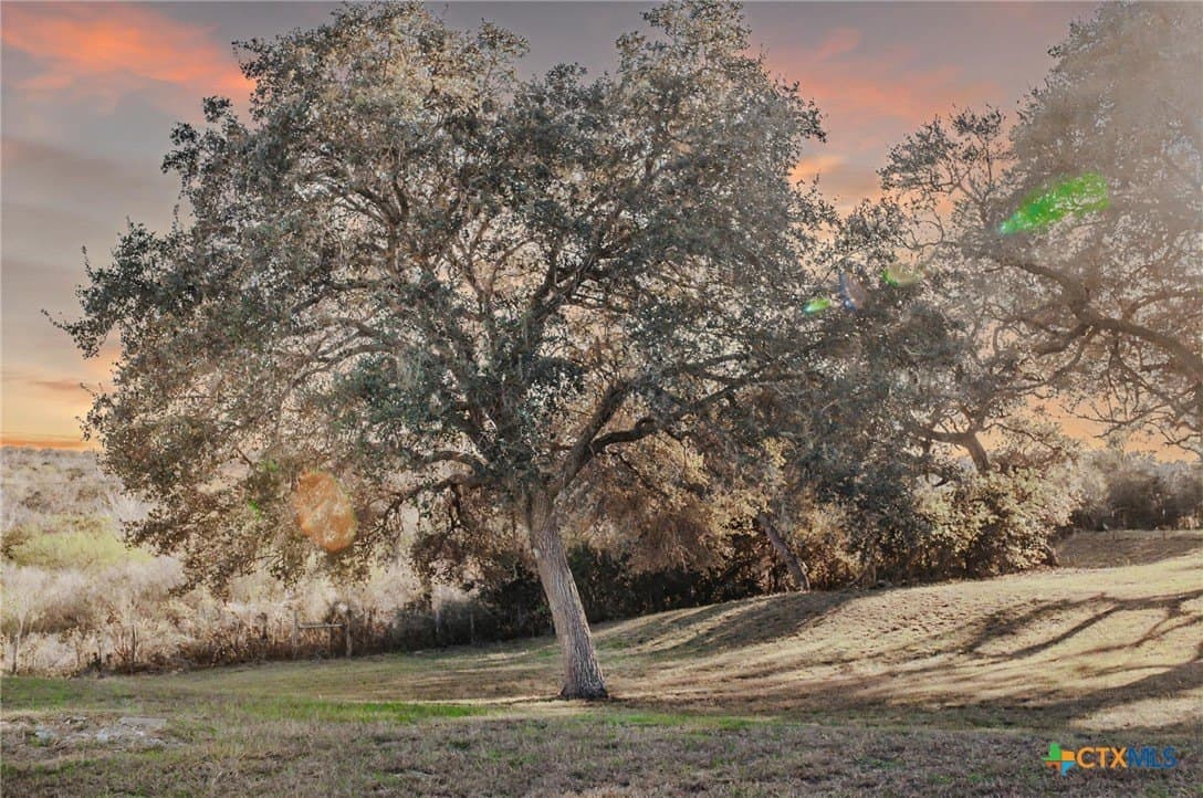 16.18 acres in Victoria County - photo 40