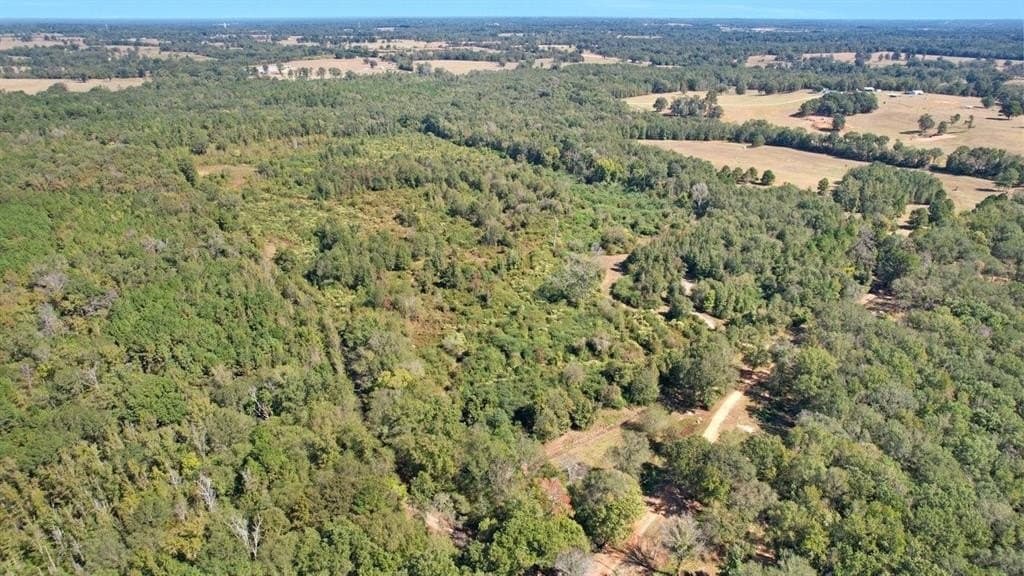45.54 acres in Morris County - photo 13