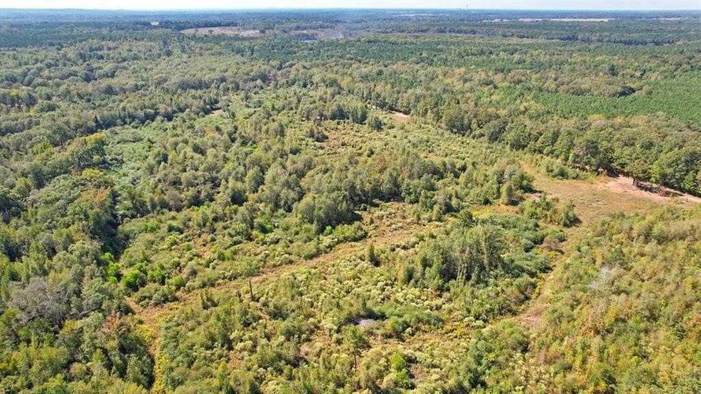 45.54 acres in Morris County - photo 11