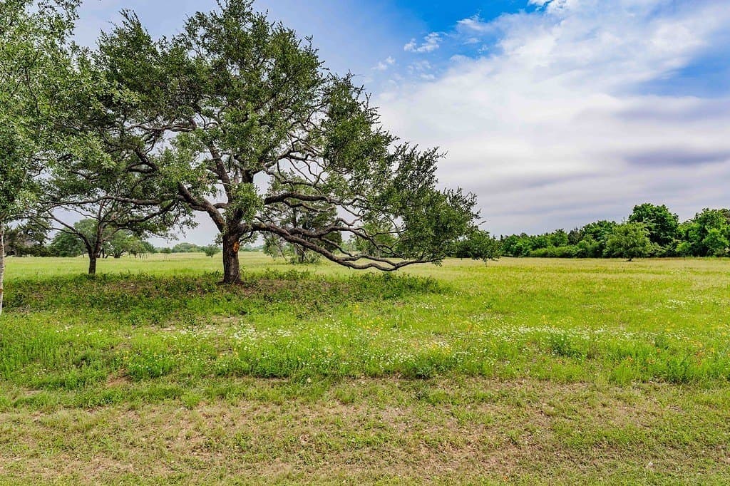 8.05 acres in Fayette County - photo 16