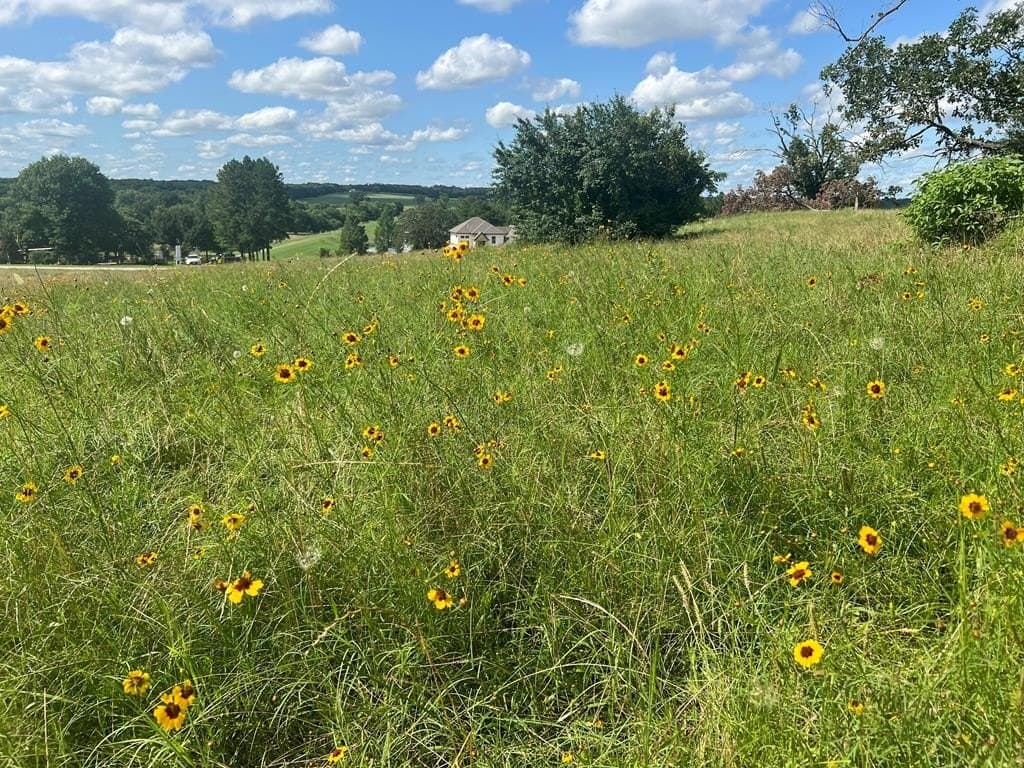 Lot 231 Wildlife Way