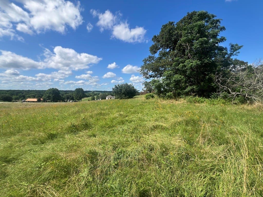 1.01 acres in Henderson County - photo 5