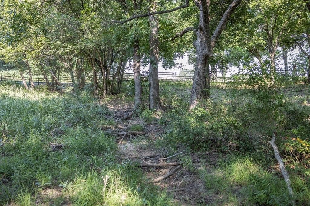 2.09 acres in Parker County - photo 6