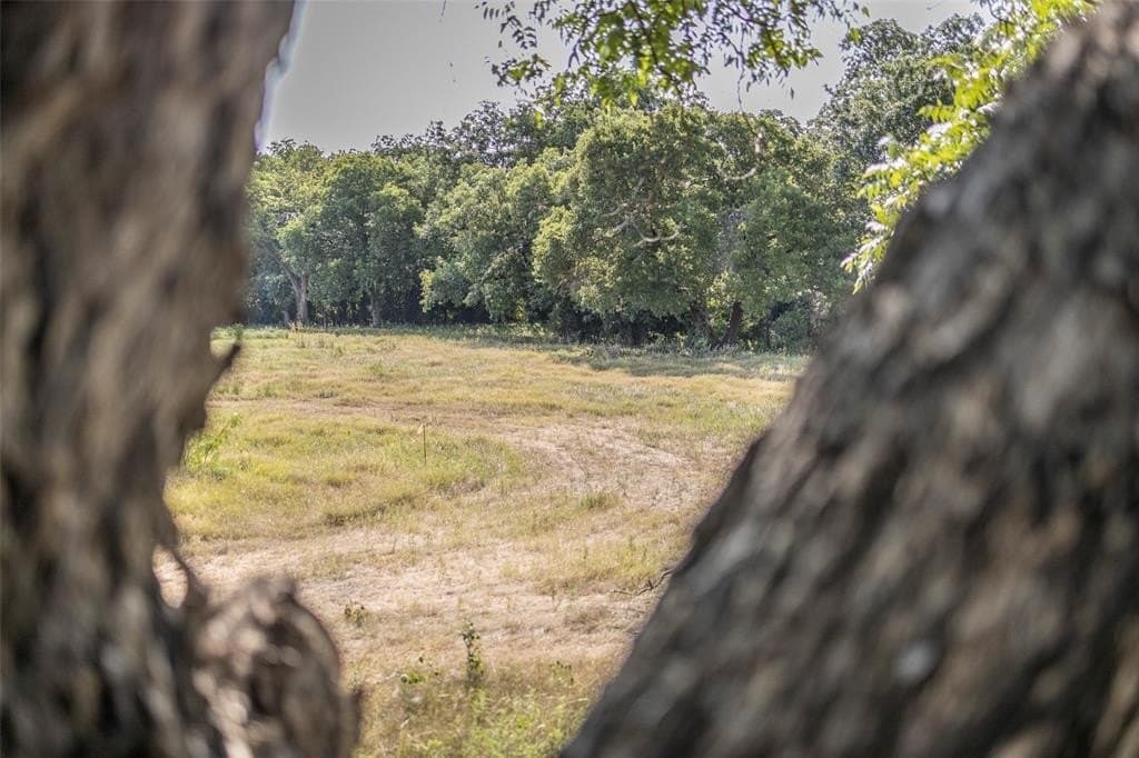 2.09 acres in Parker County - photo 8