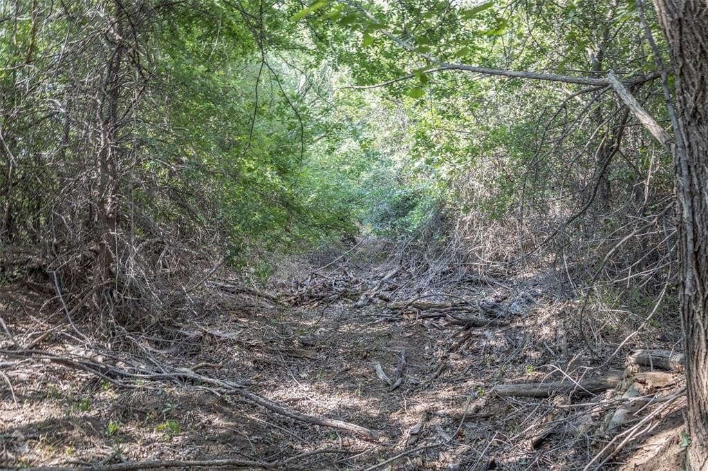 2.09 acres in Parker County - photo 10