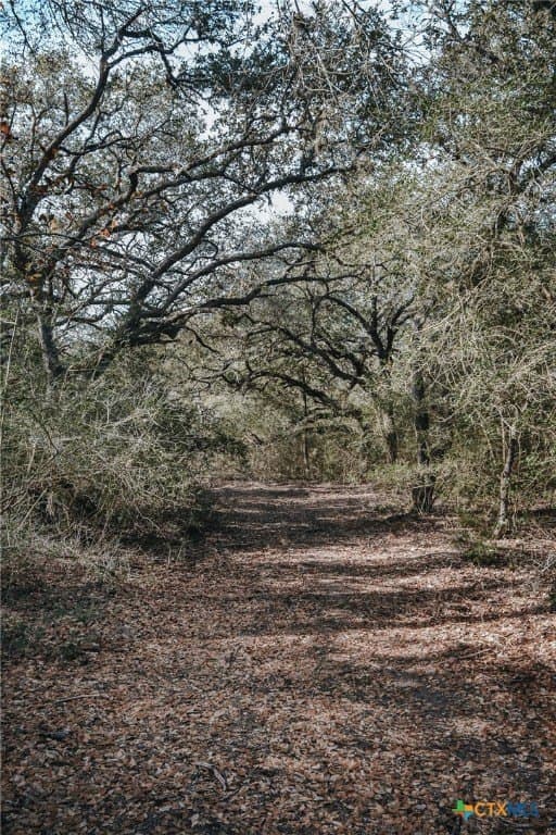 12.16 acres in Victoria County - photo 14
