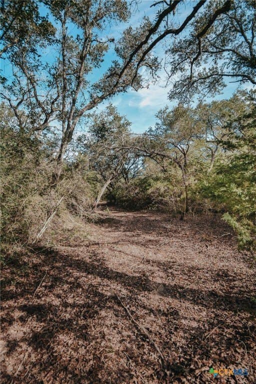 12.16 acres in Victoria County - photo 12