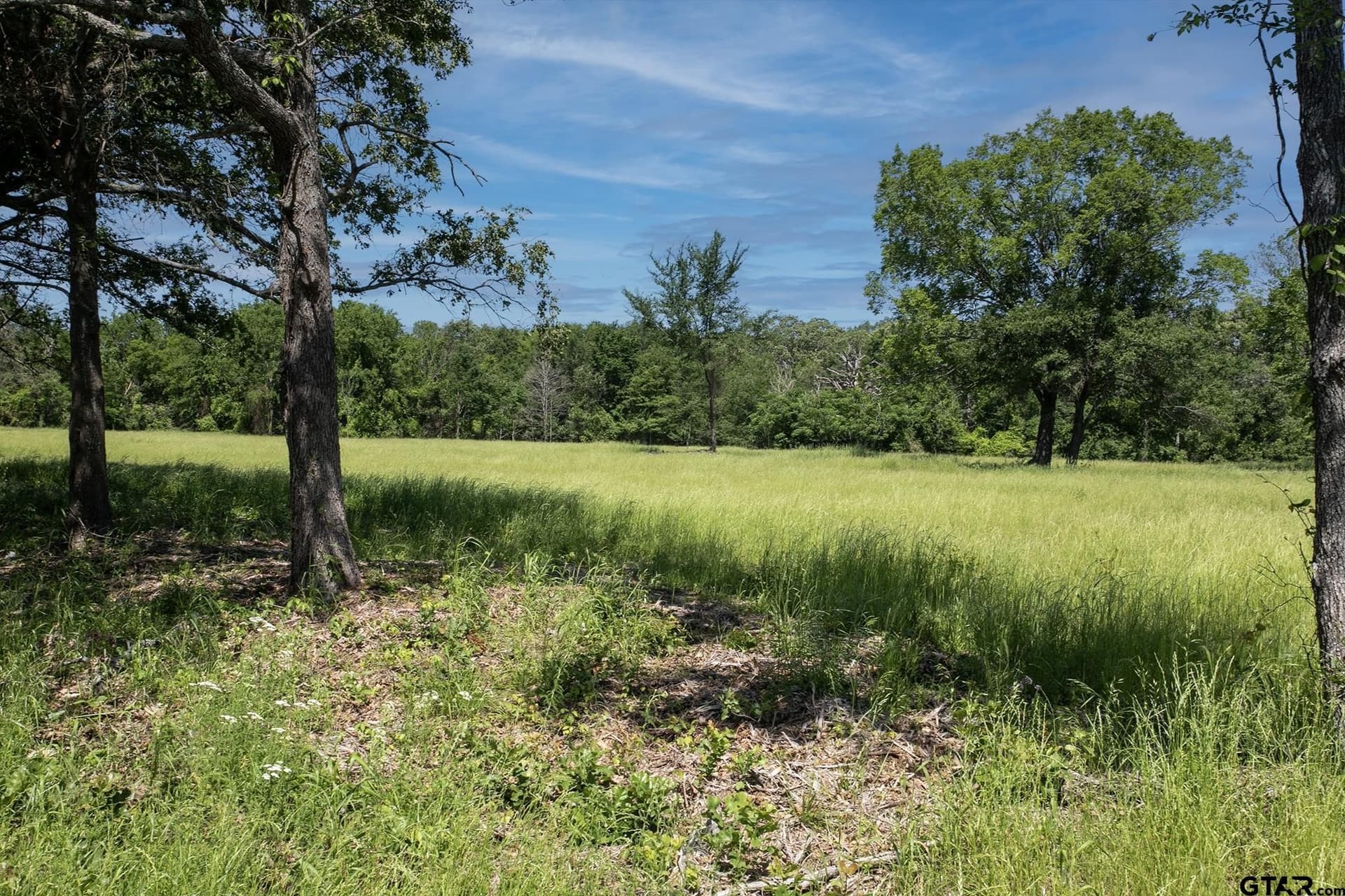 22.5 acres in Van Zandt County - photo 7