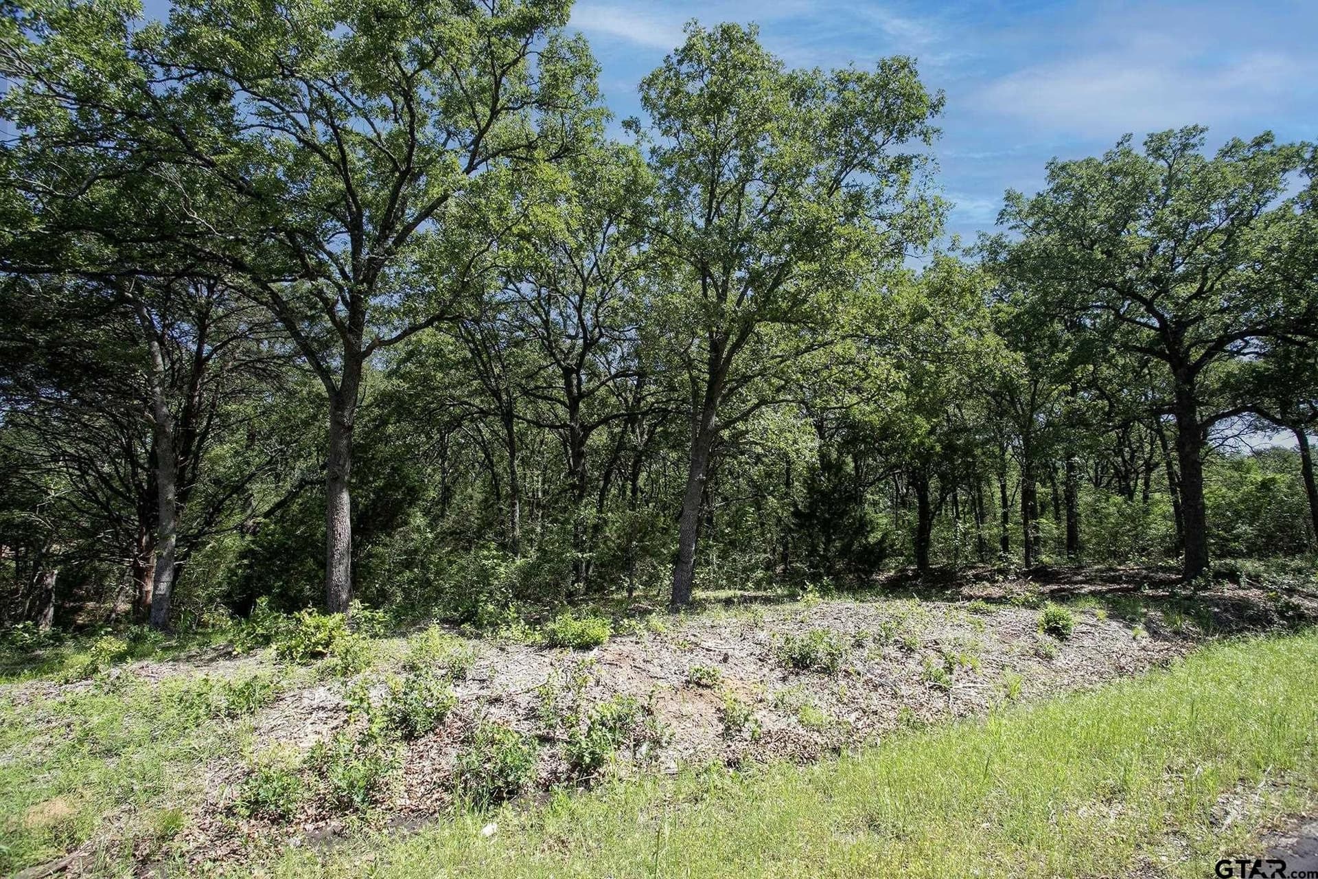 22.5 acres in Van Zandt County - photo 15