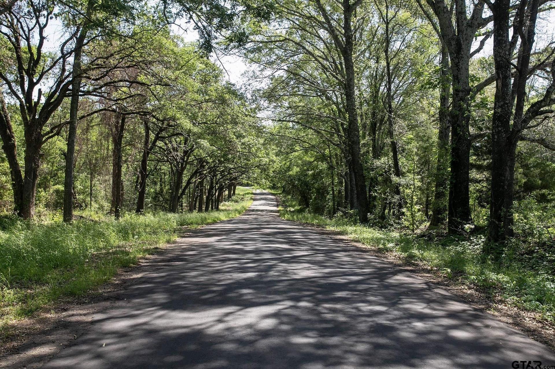 22.5 acres in Van Zandt County - photo 9