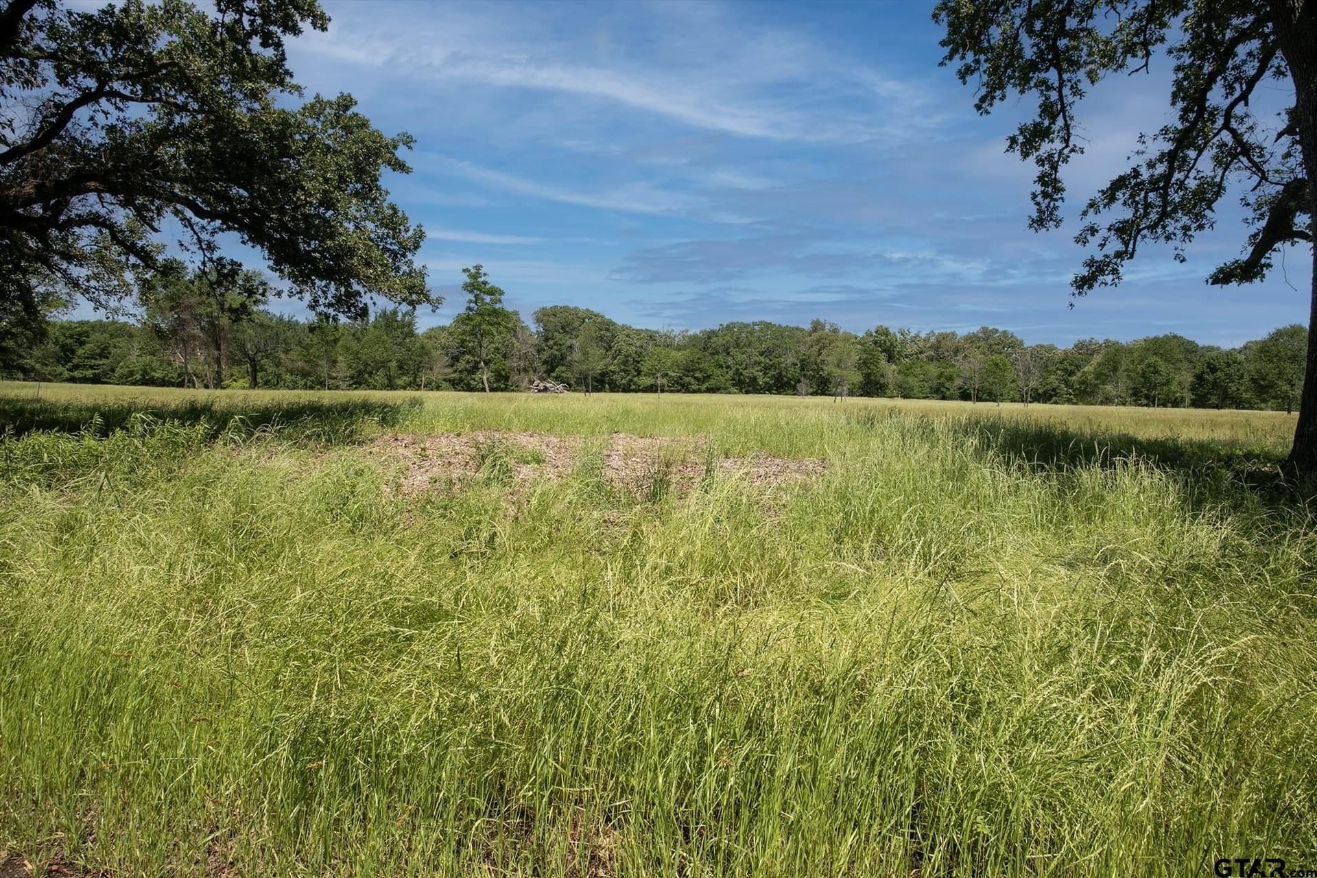 22.5 acres in Van Zandt County - photo 10