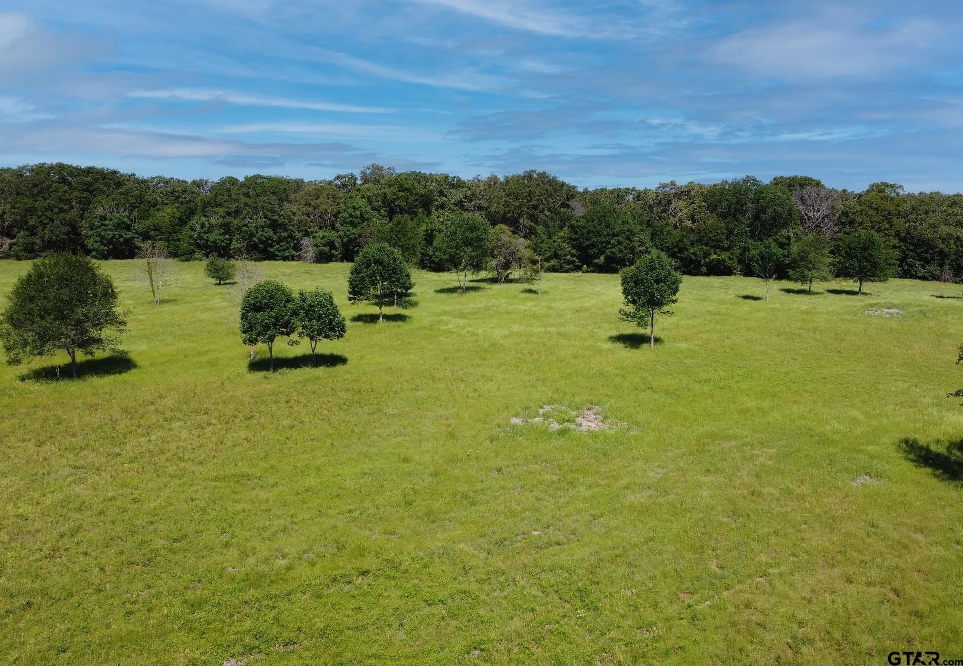 22.5 acres in Van Zandt County - photo 5