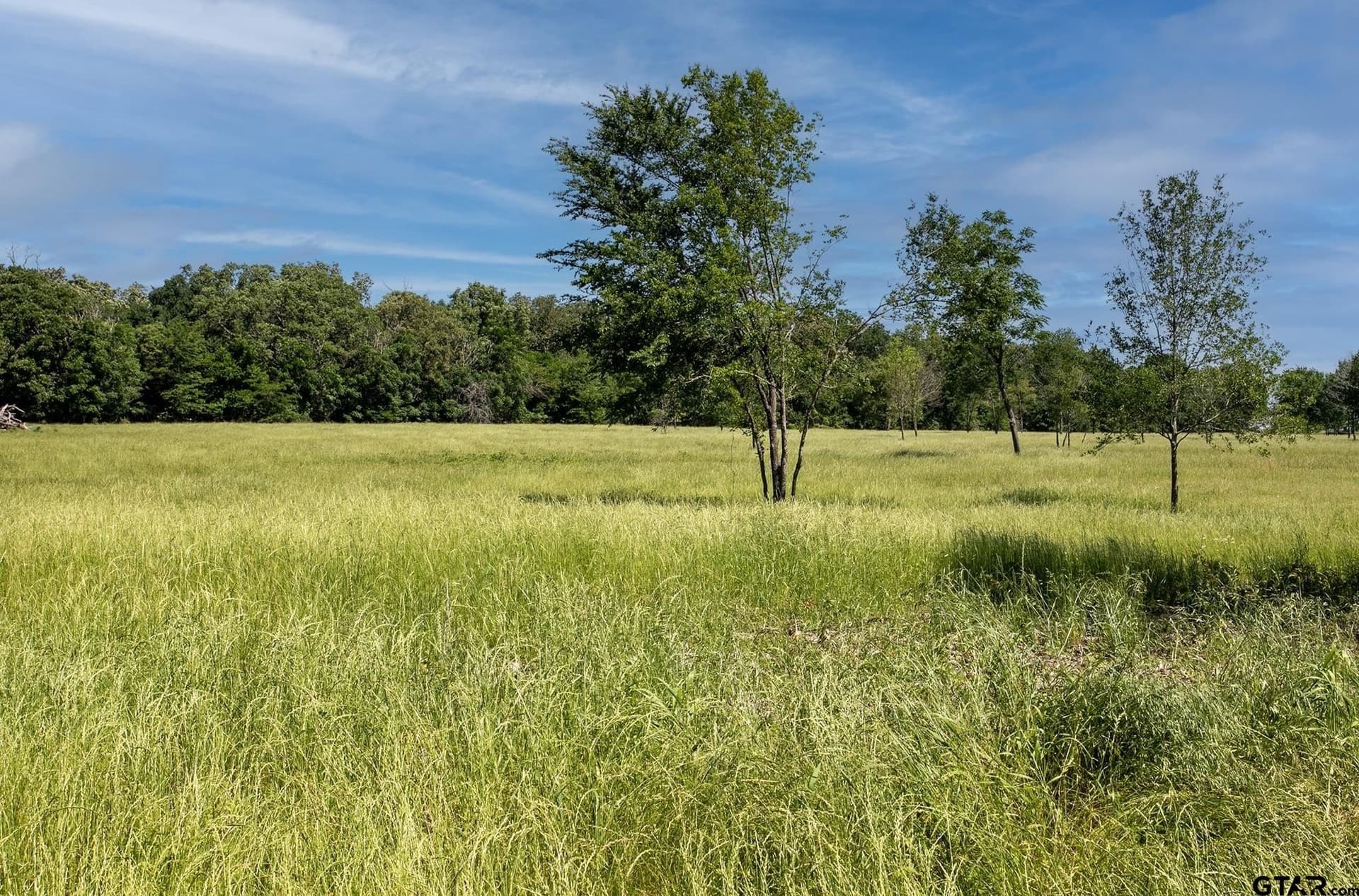 TBD 003 VZ County Road 1805