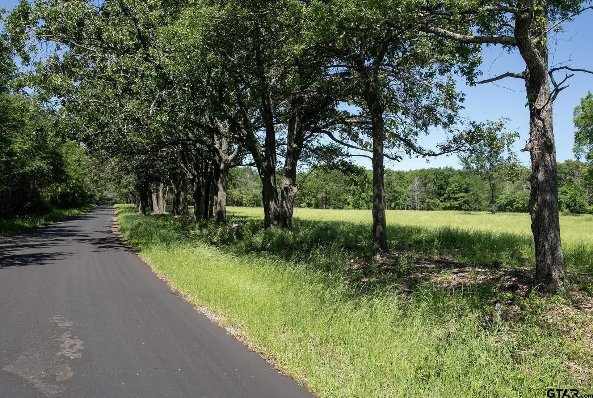 22.5 acres in Van Zandt County - photo 8