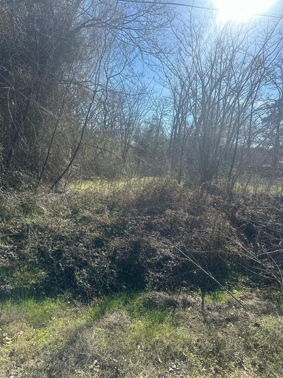0.11 acres in Henderson County - photo 3