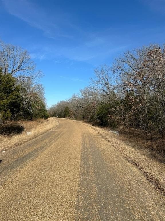 0.11 acres in Henderson County - photo 2
