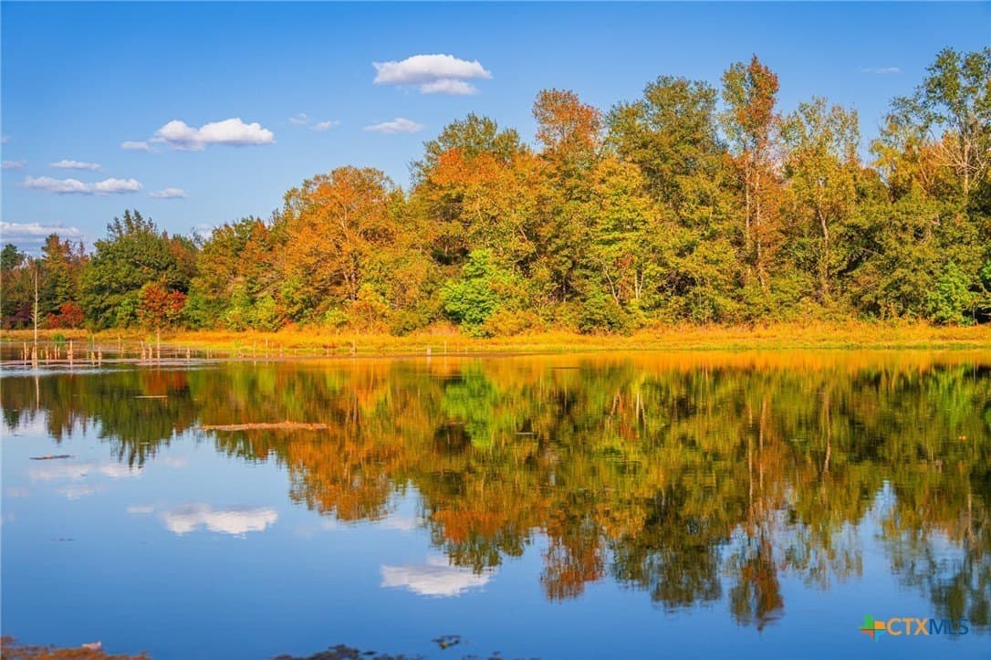 650 acres in Henderson County - photo 9