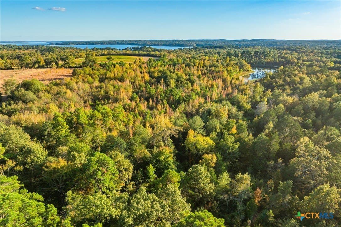 650 acres in Henderson County - photo 29