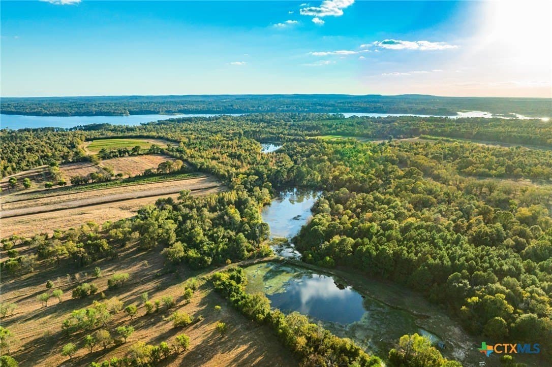 650 acres in Henderson County - photo 34