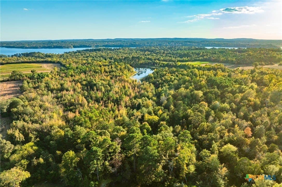 650 acres in Henderson County - photo 31
