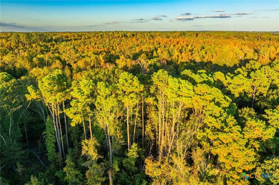 650 acres in Henderson County - photo 7