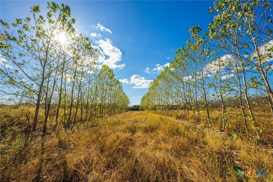 650 acres in Henderson County - photo 19