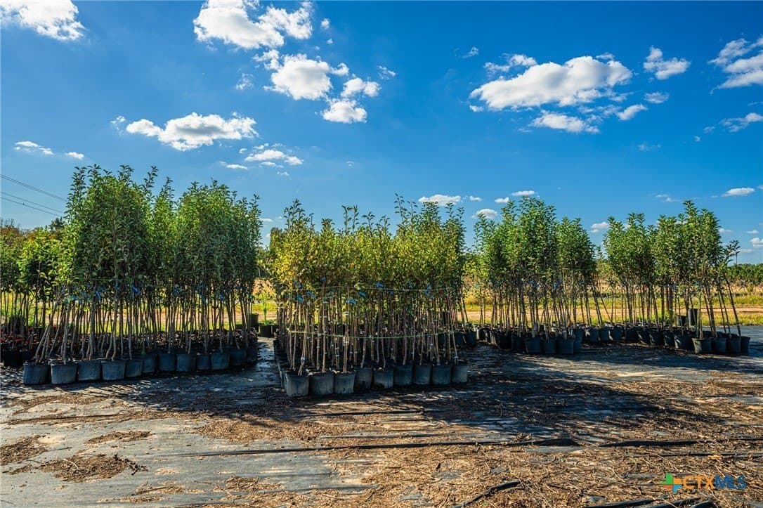 650 acres in Henderson County - photo 38