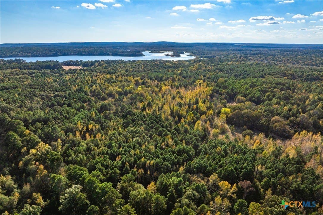 650 acres in Henderson County - photo 20