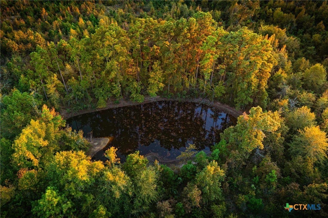 650 acres in Henderson County - photo 15