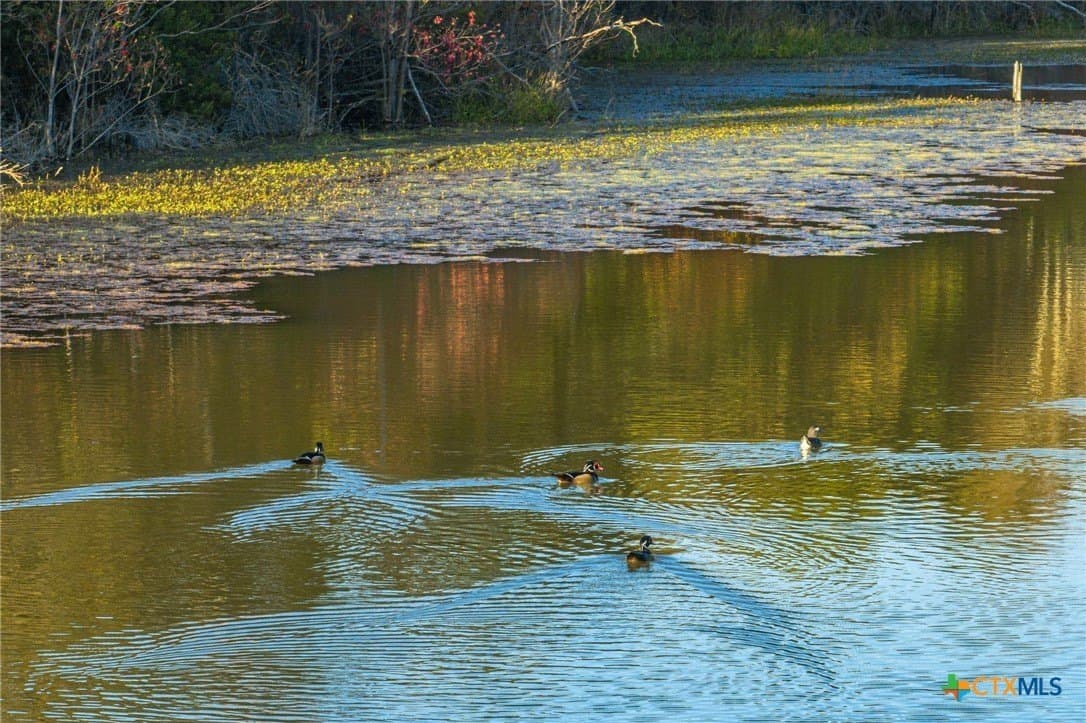 650 acres in Henderson County - photo 30