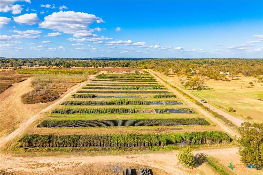 650 acres in Henderson County - photo 23